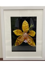 Yellow Blooming Orchid Framed Artwork (1/3)