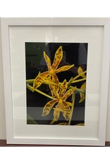 Yellow Blooming Orchid Framed Artwork (2/3)