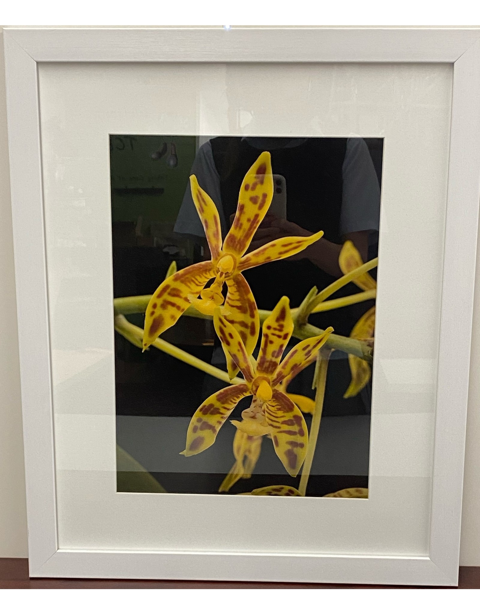 Yellow Blooming Orchid Framed Artwork (2/3)
