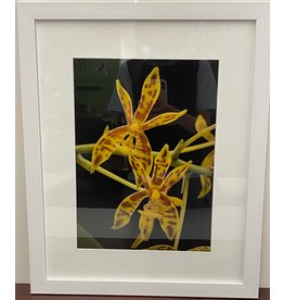 Yellow Blooming Orchid Framed Artwork (2/3)