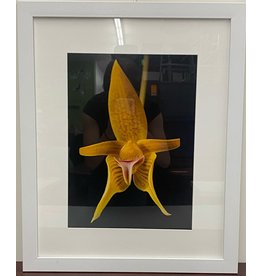 Yellow Blooming Orchid Framed Artwork (3/3)