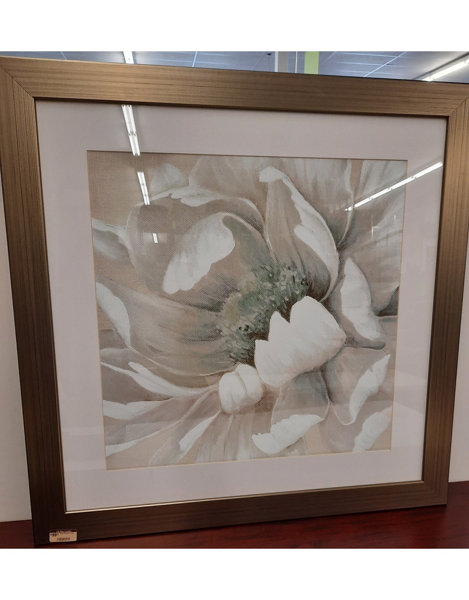 White Framed Flower