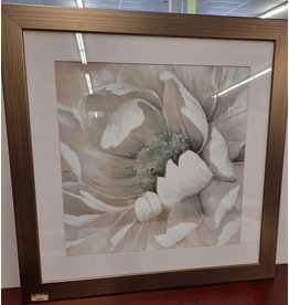 White Framed Flower