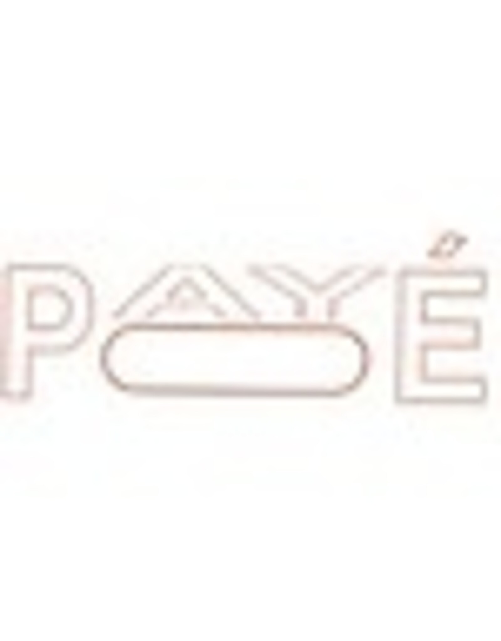 STAMP 4911/CB RED ''PAYE'' BOX