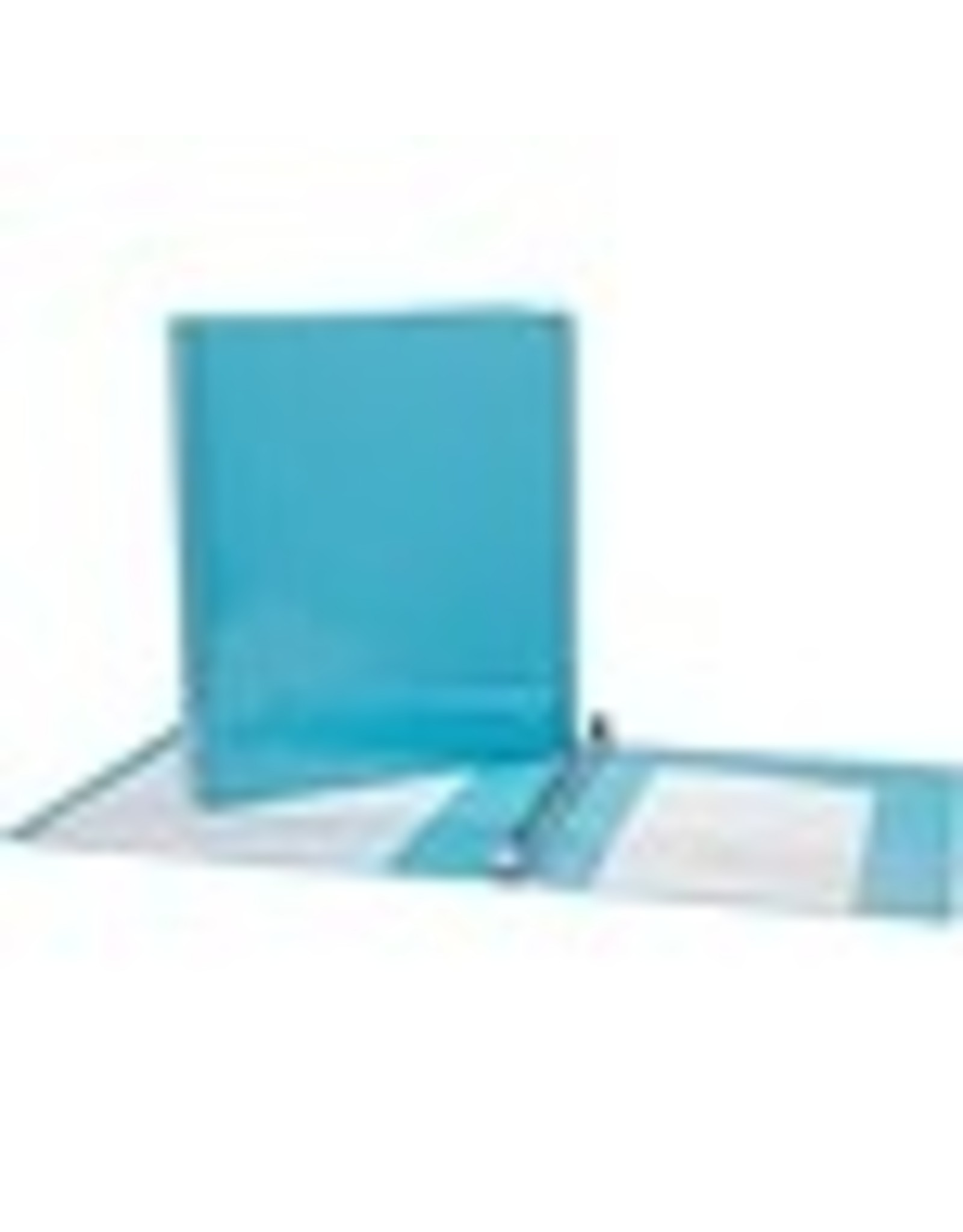 VIEW BINDER D-R, 1''*LIGHT BLUE