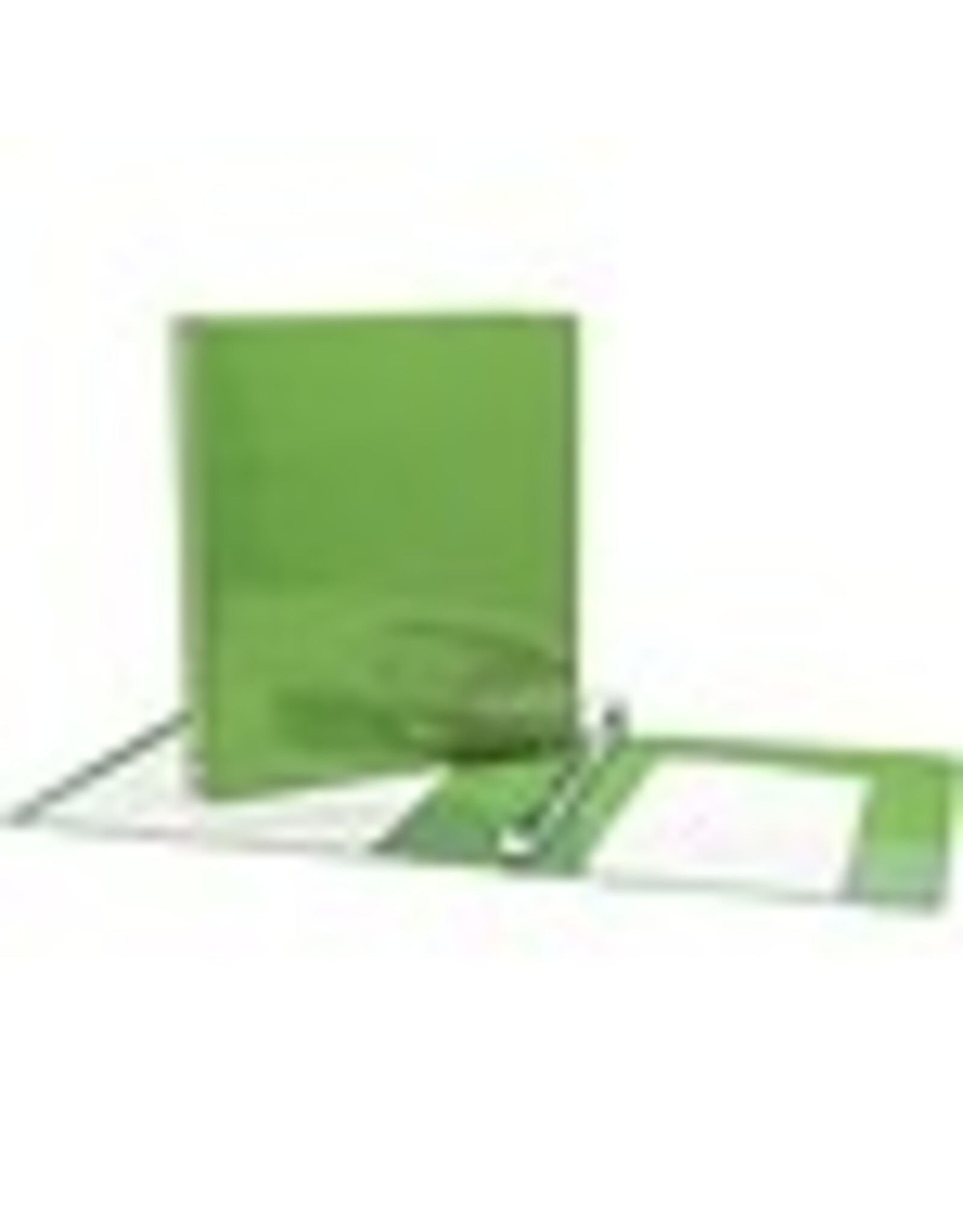 VIEW BINDER D-R, 1''*LIGHT GRN