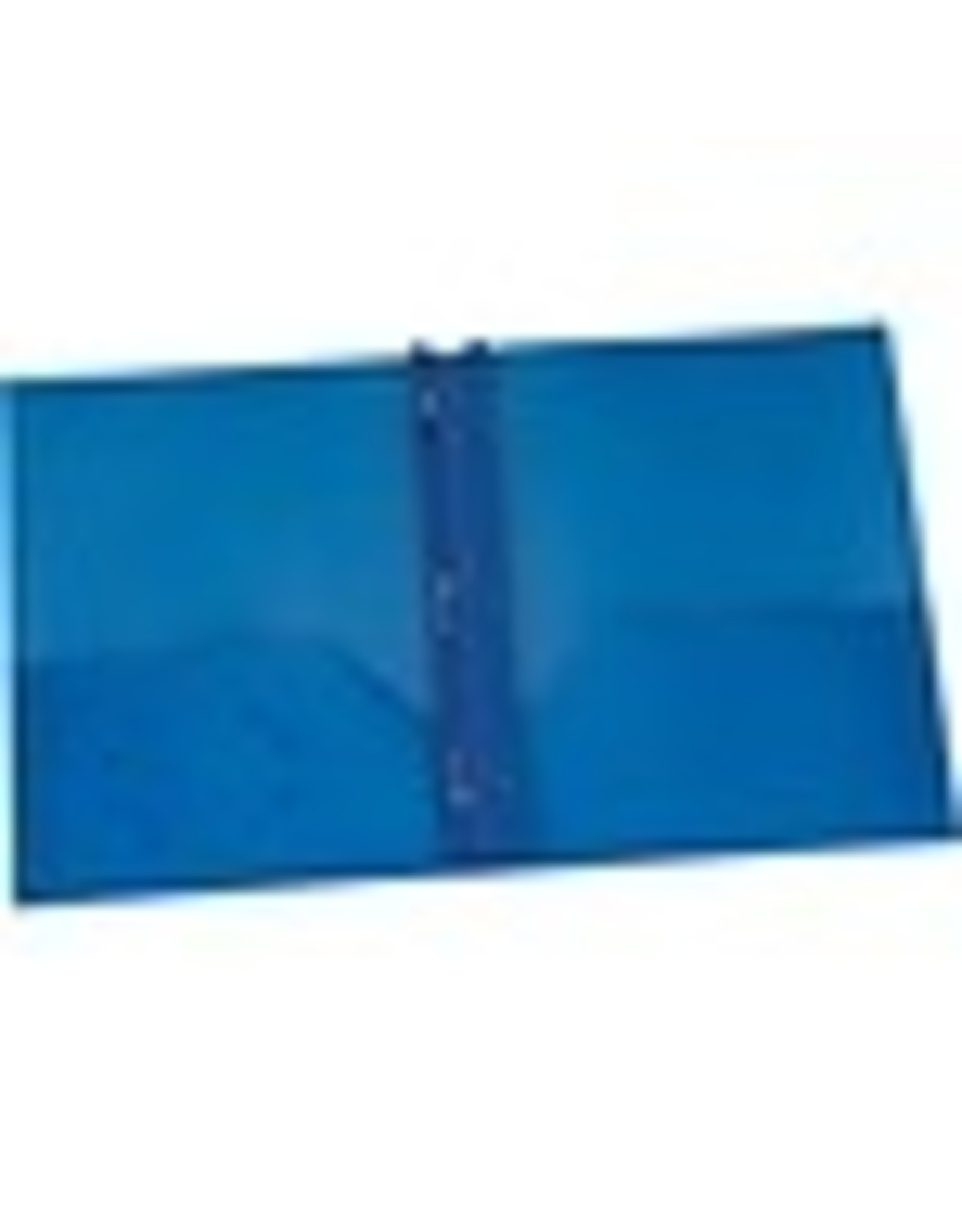 PORTFOLIO POLY 2PCKT+PRONG*BLU