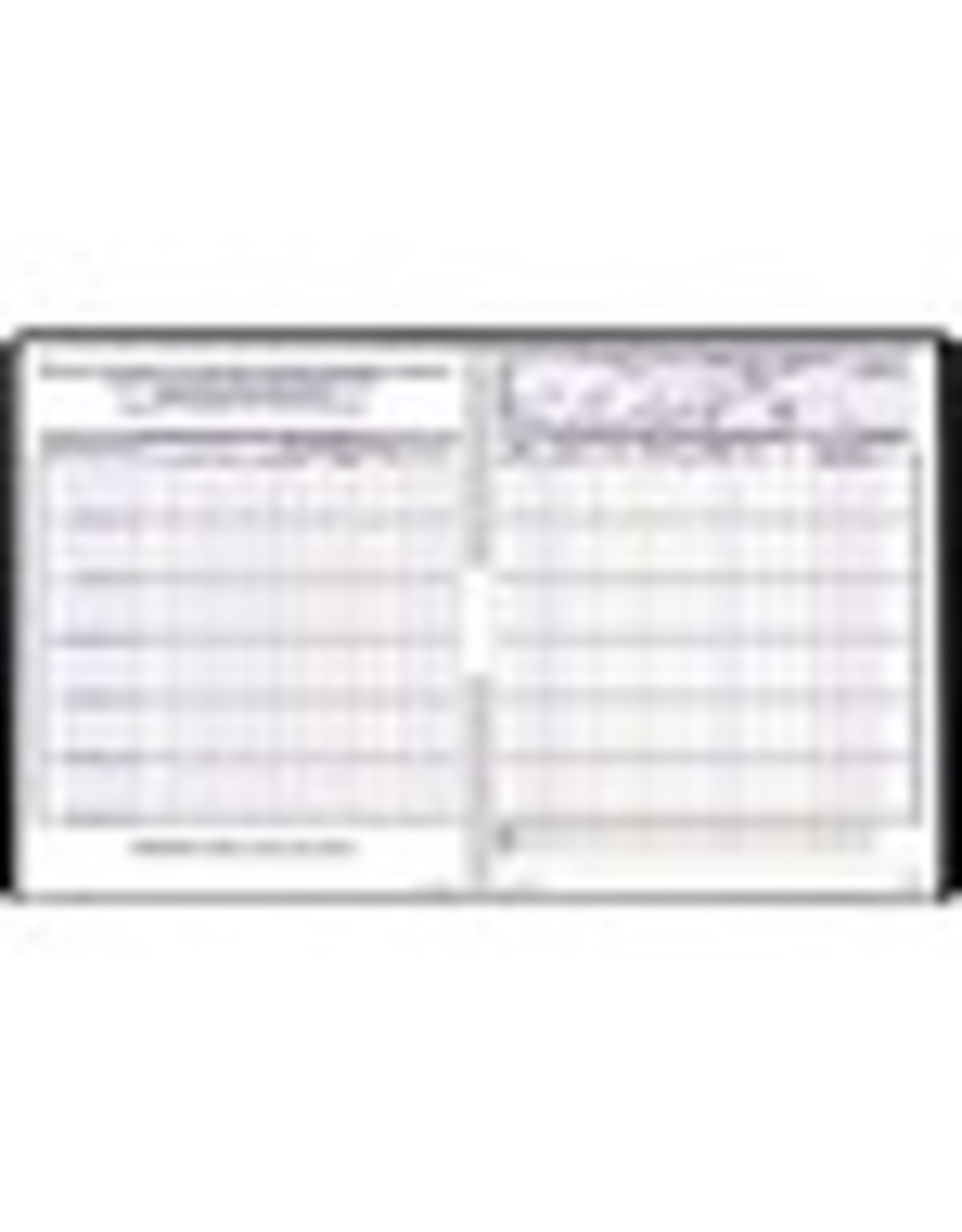 PAYROLL BOOK, 5 EMPLOYEES*BIL