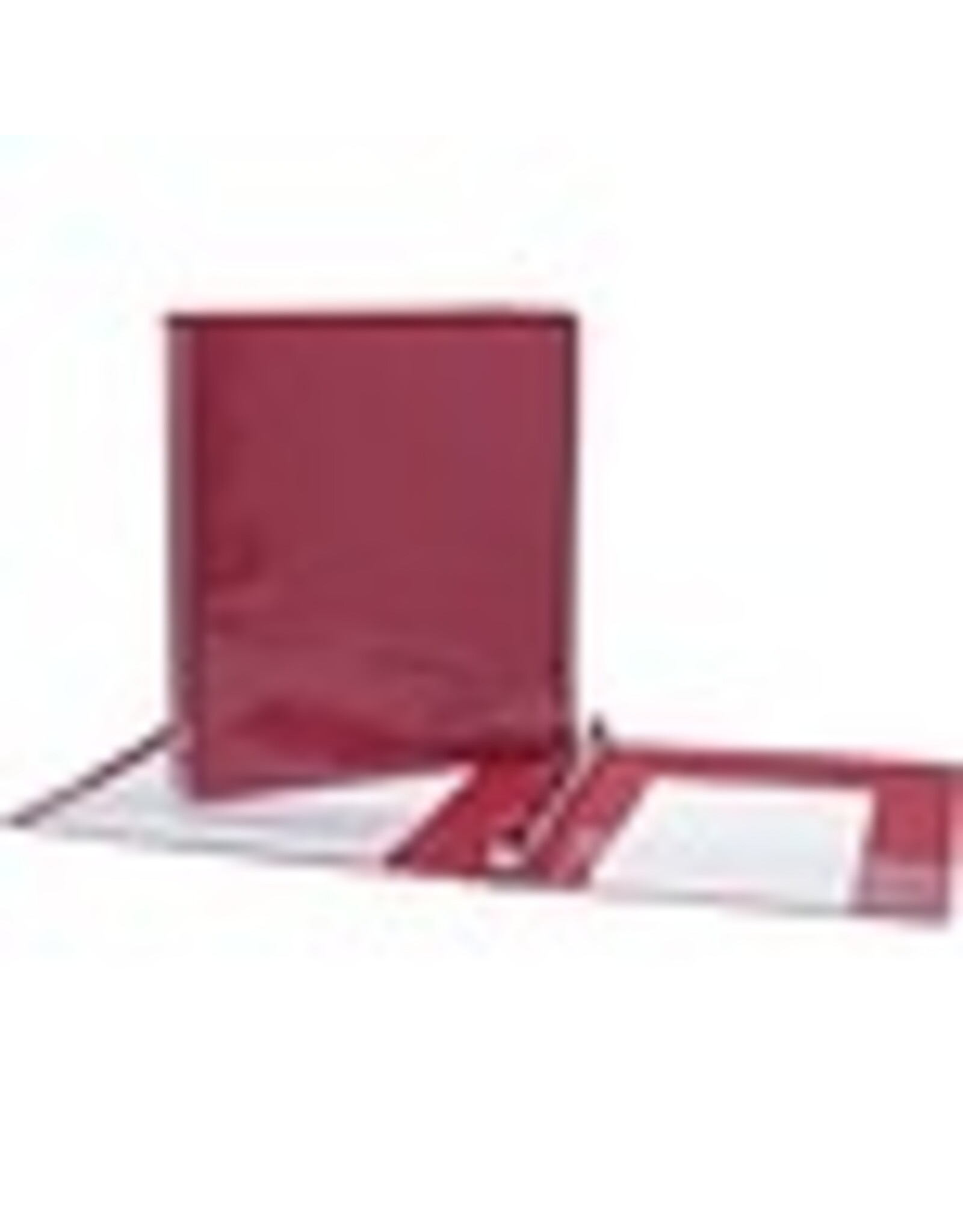 VIEW BINDER D-R, 1''*RED
