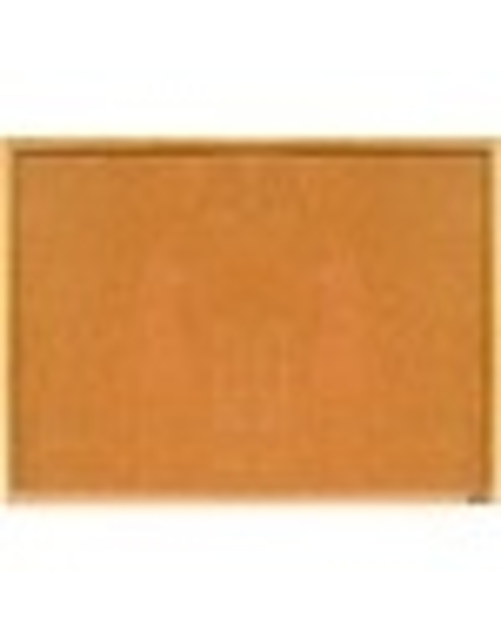 CORK BOARD WOOD FRAME 18X24