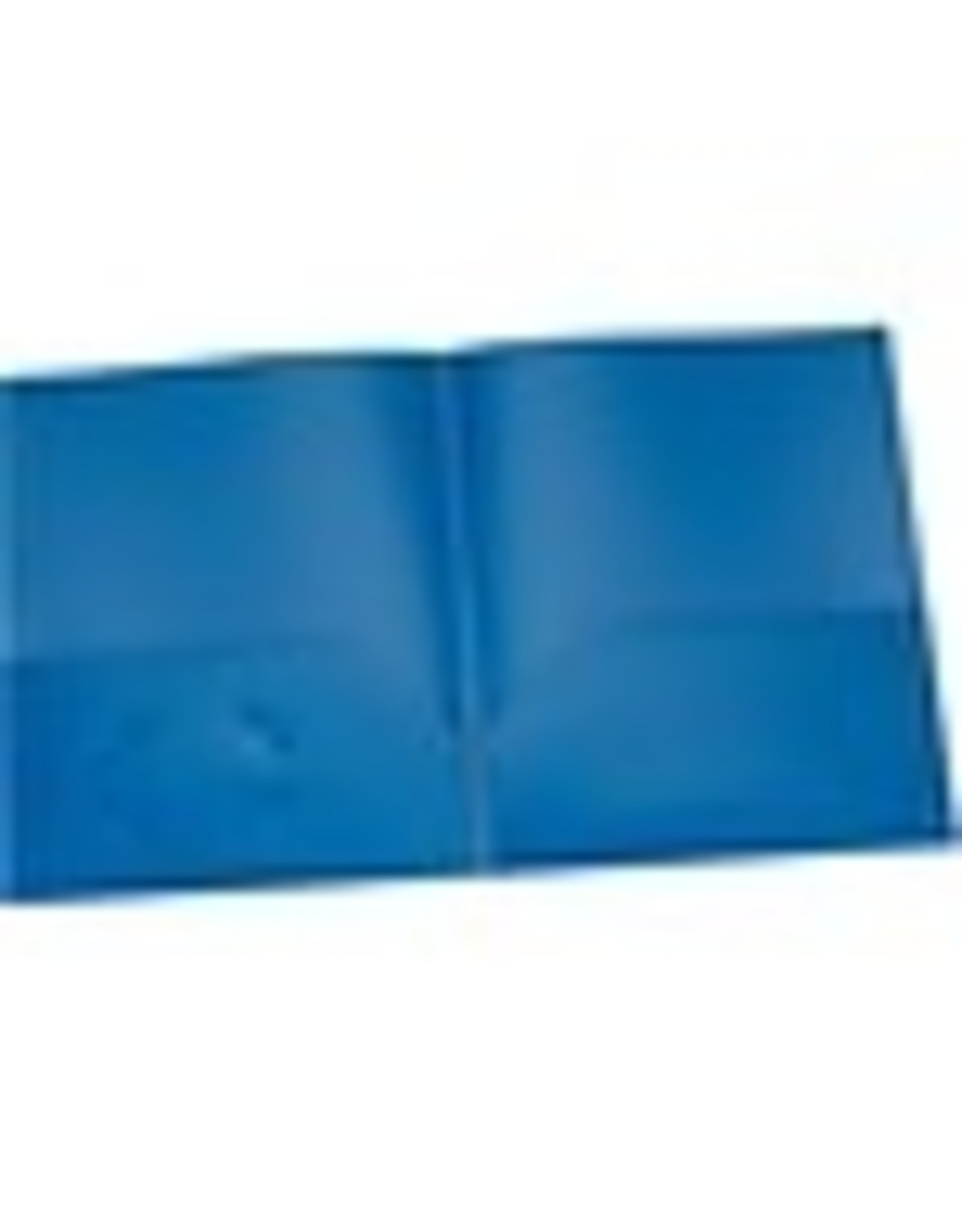 PORTFOLIO POLY 2-POCKET *BLUE