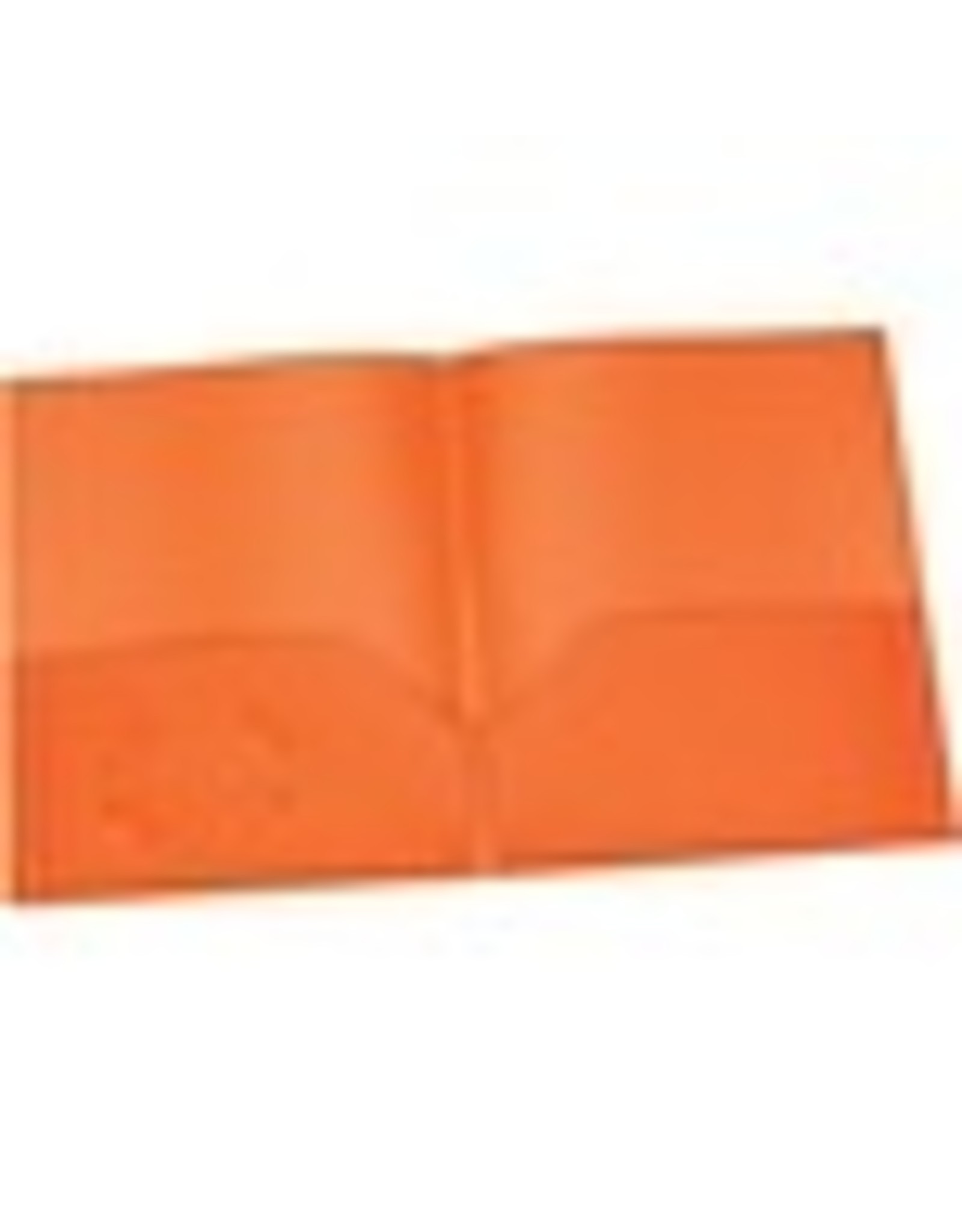 PORTFOLIO POLY 2-POCKET *ORNGE