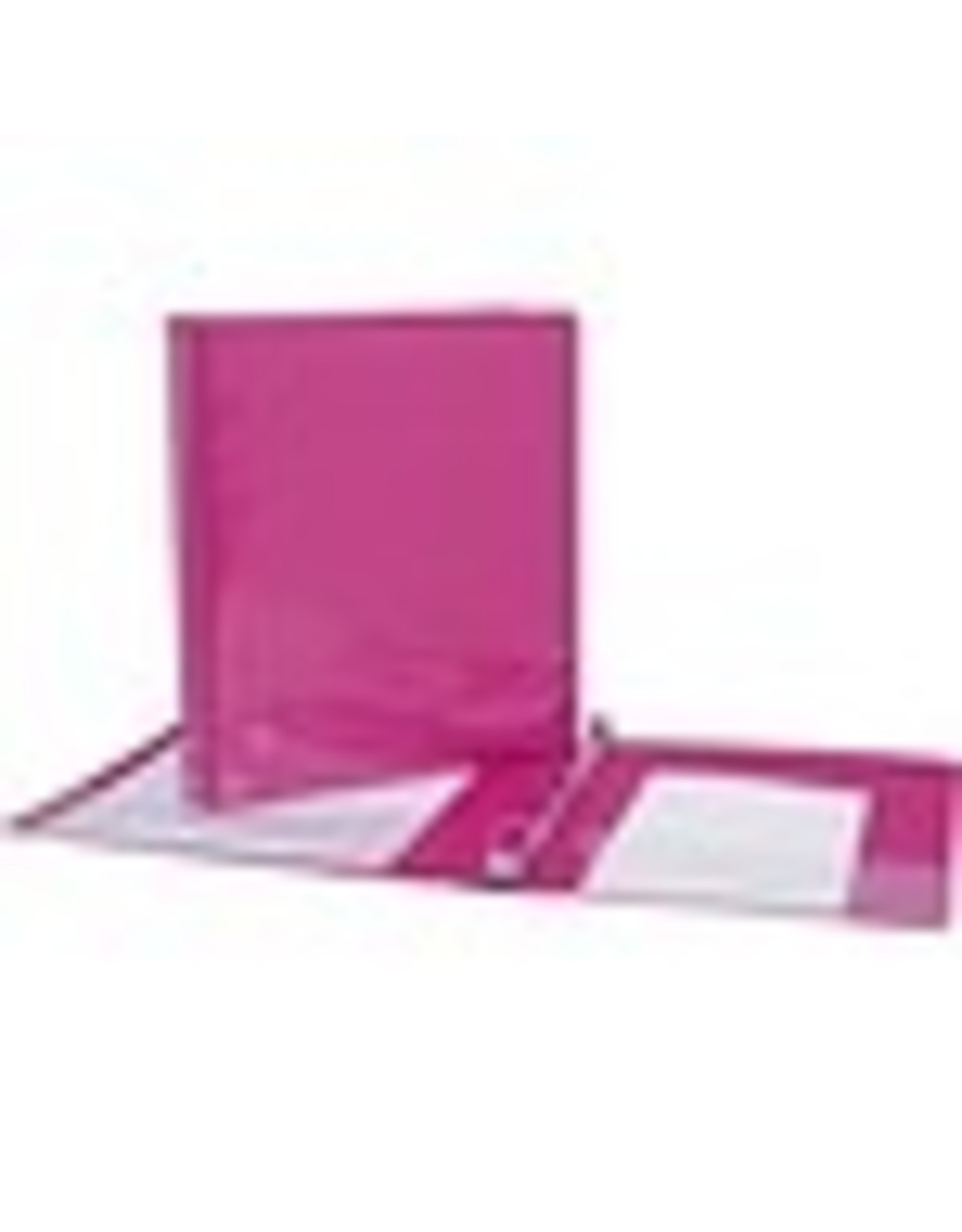 VIEW BINDER D-R, 1''*PINK