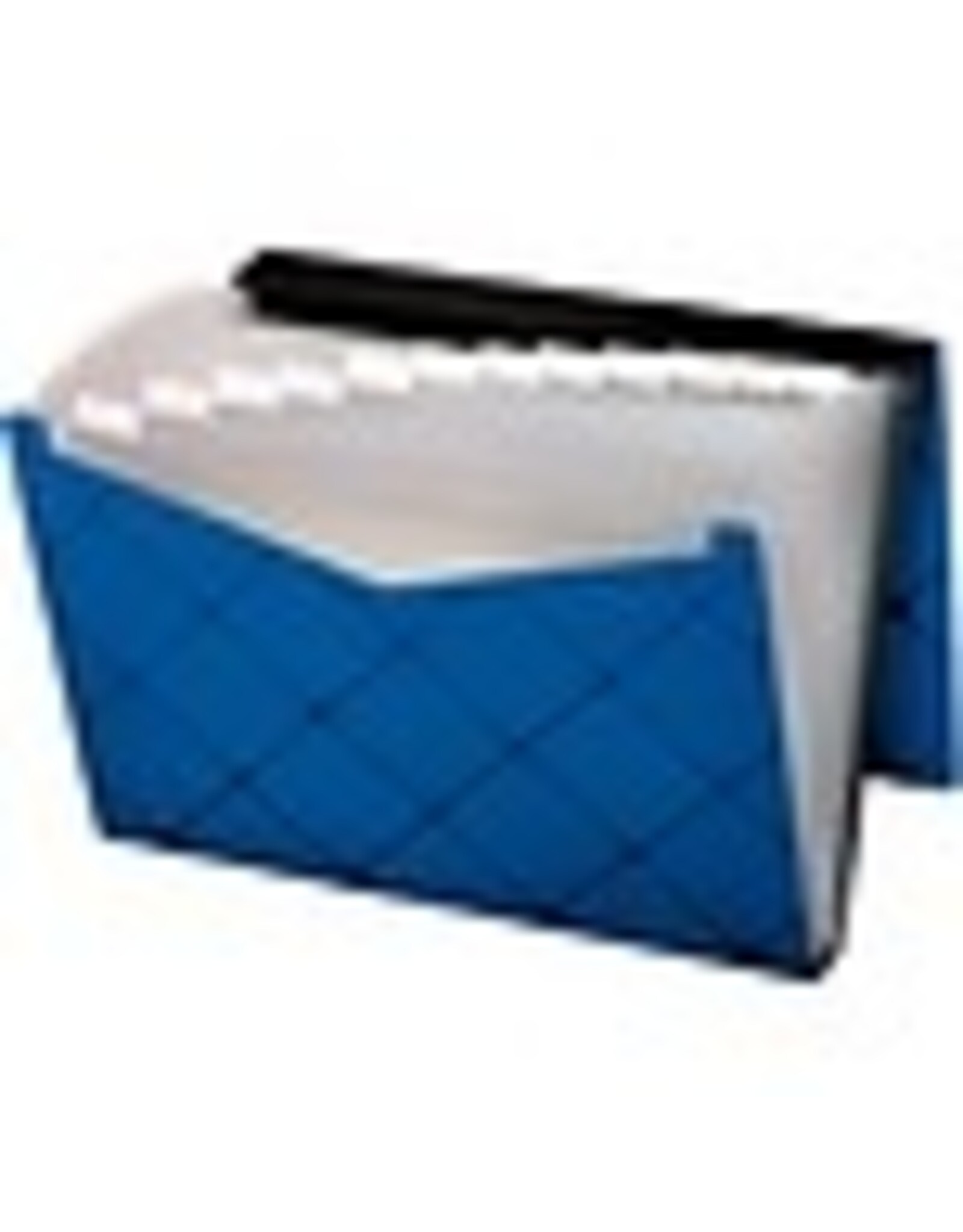 EXP.FILE 13-PCKT LTR*BLUE