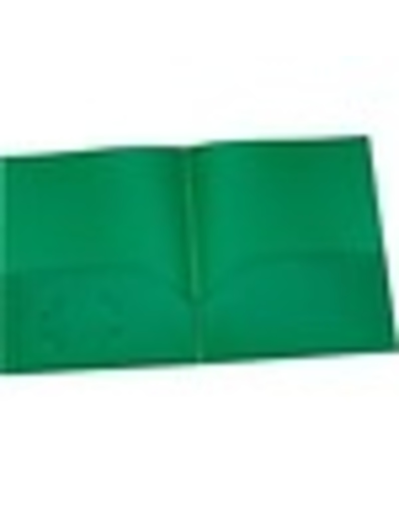 PORTFOLIO POLY 2-POCKET *GREEN