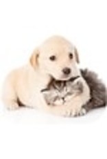 MOUSE PAD OPTICAL*PUPPY/KITTEN