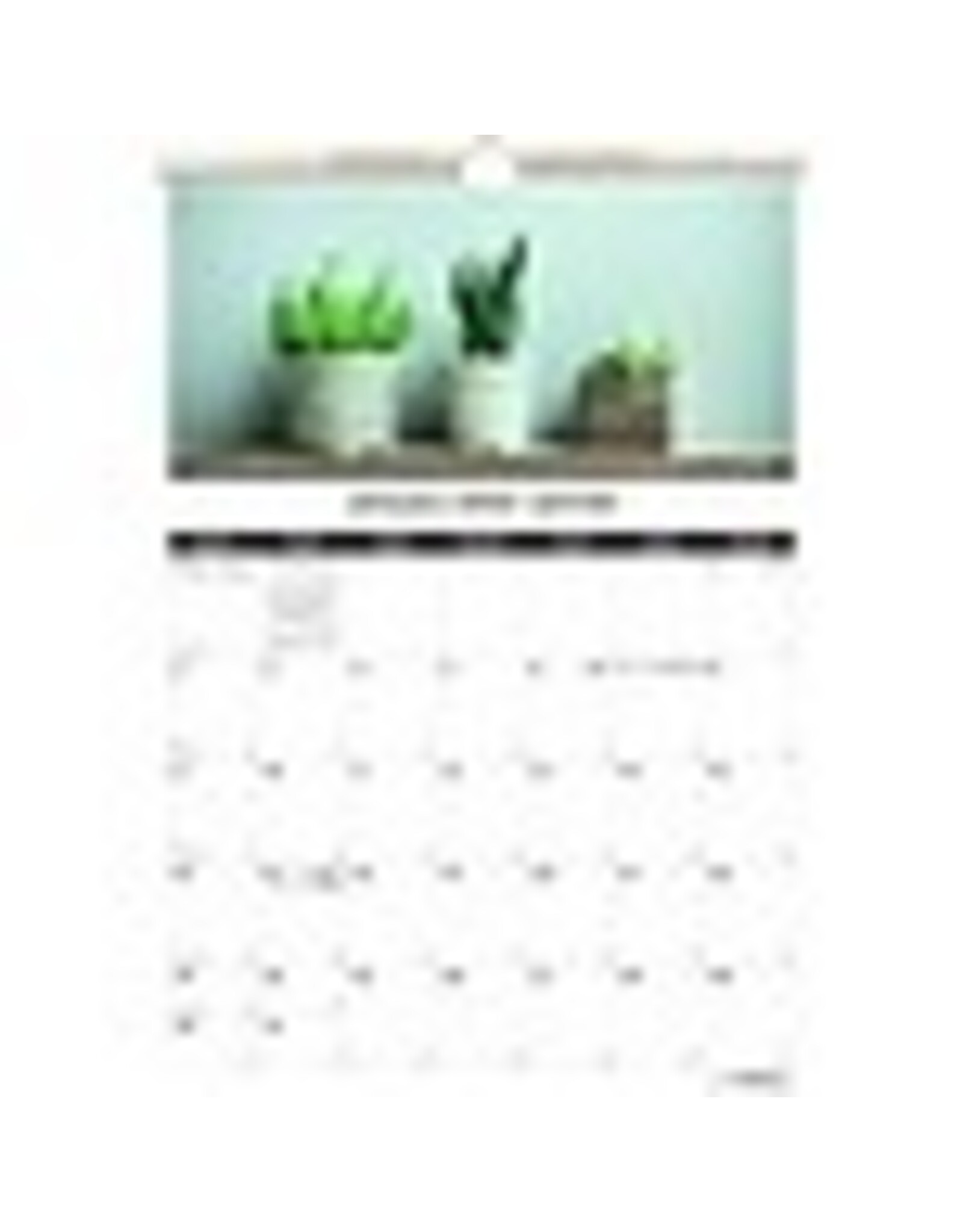 WALL CAL.12X17 SUCCULENTS*2022