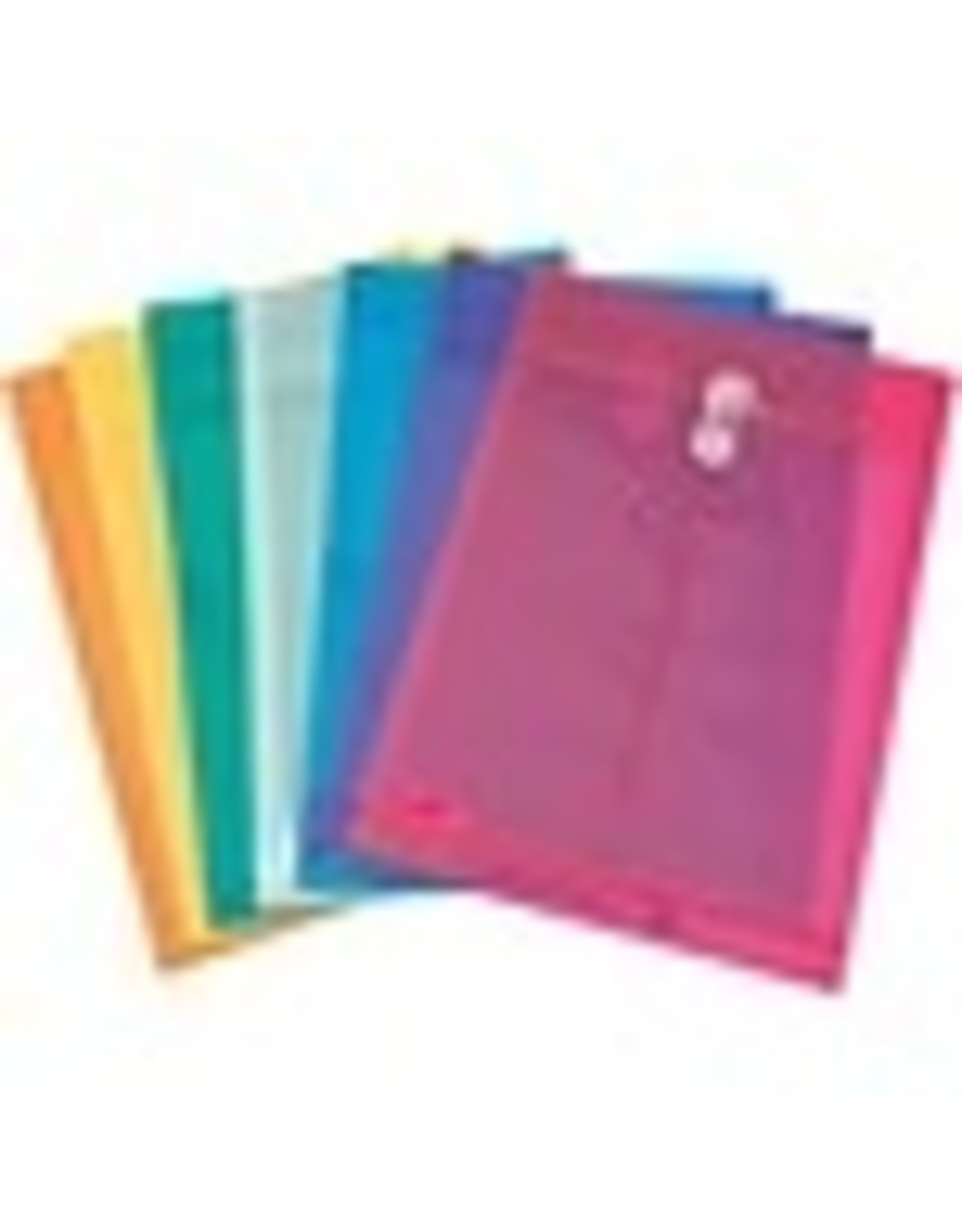 POLY ENV TRANSP 9.75X13.5 ASST