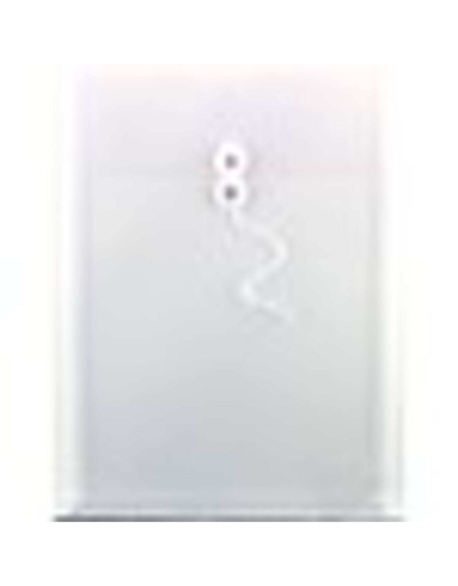POLY ENV TRANSP. VERT.10X14.5