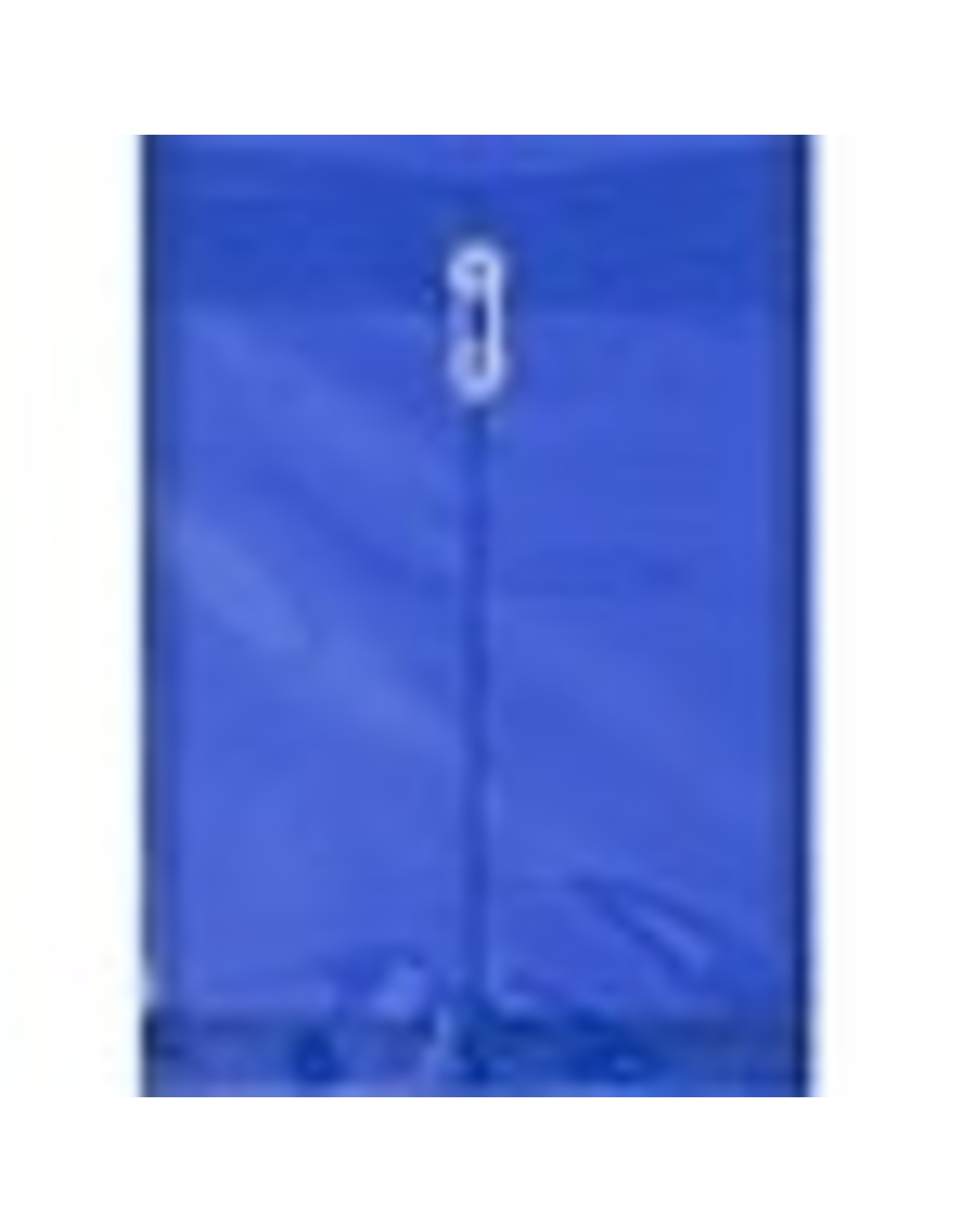 POLY ENV TRANSP. 9.15X13*BLUE