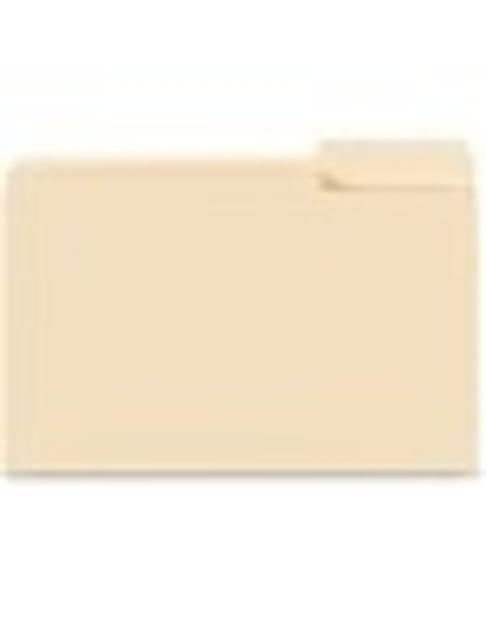 FOLDER FILE 1/3 LGL POS 3
