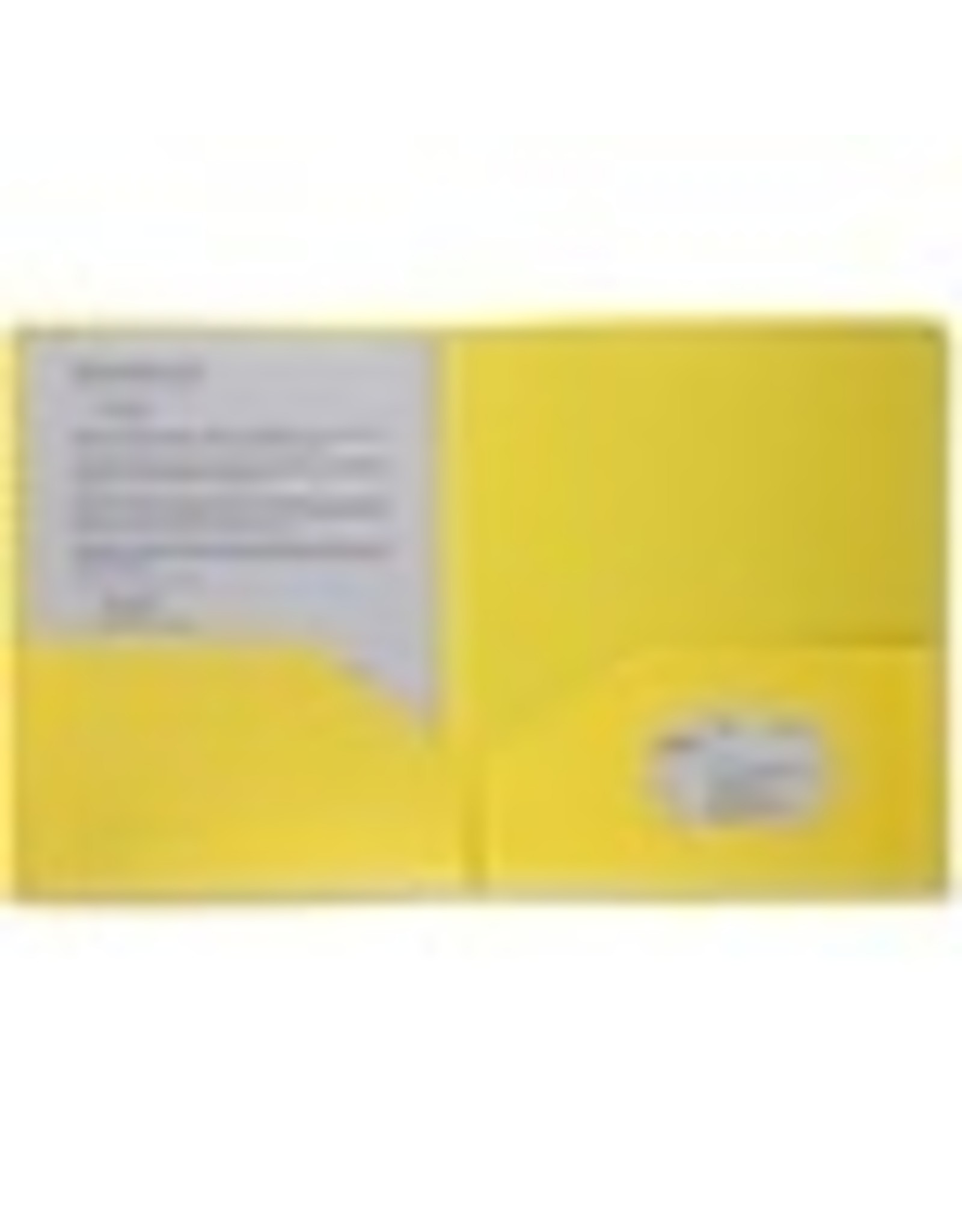 PORTFOLIO,POLY,2 PKT, YELL