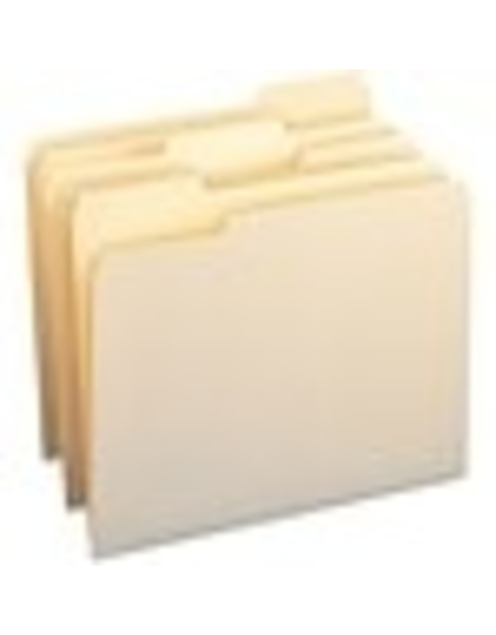 FOLDER,FILE,CUTLESS,1/3,MLA