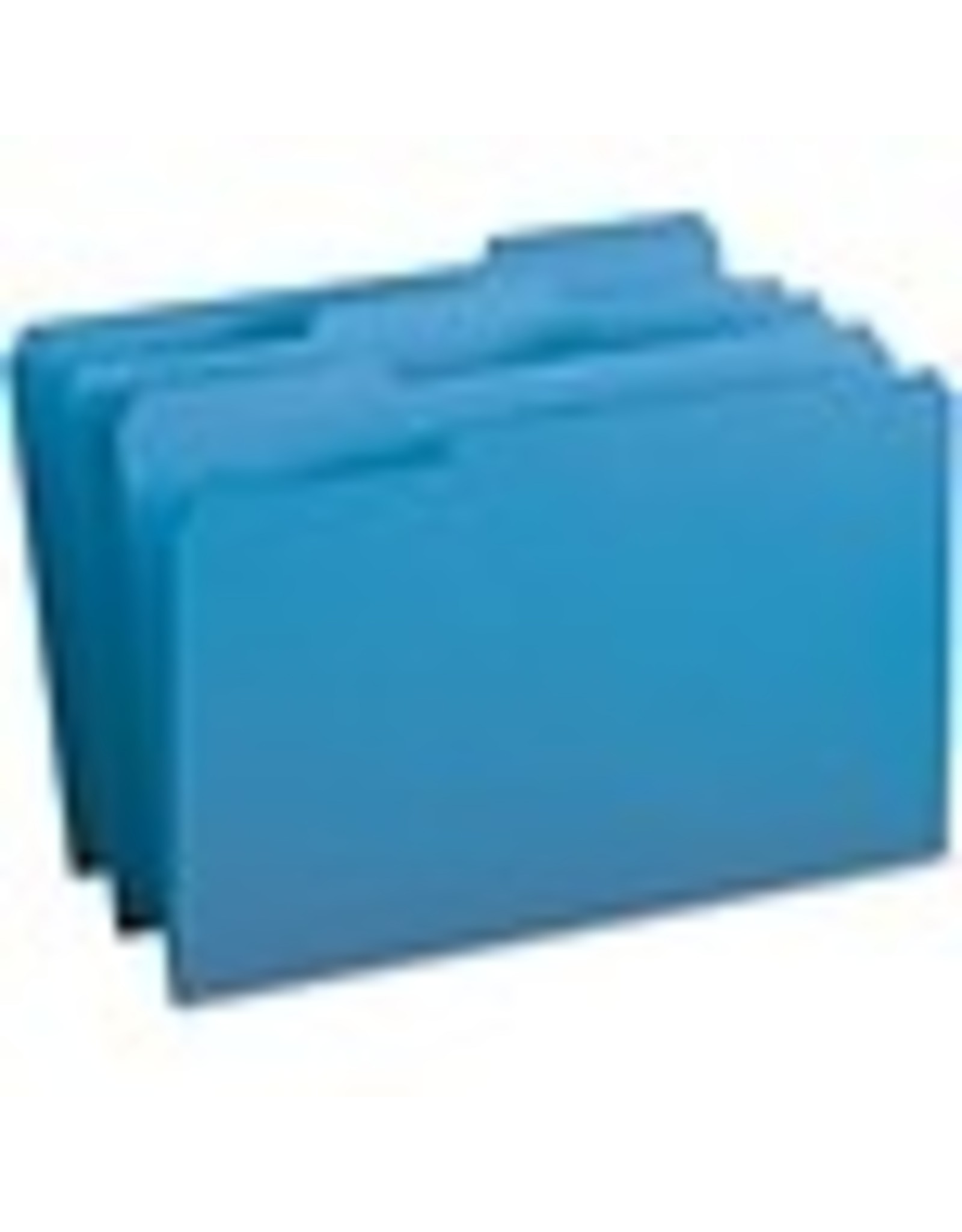 FOLDER,FILE,1/3 CUT,LGL,BE