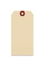 SHIPPING TAGS 100/PK*5.25x2.63