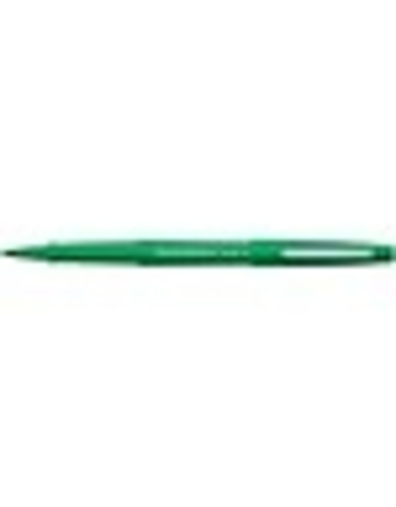 FLAIR MARKER, MEDIUM*GREEN
