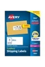 LASER LABEL 4x2 BULK  *2500/BX