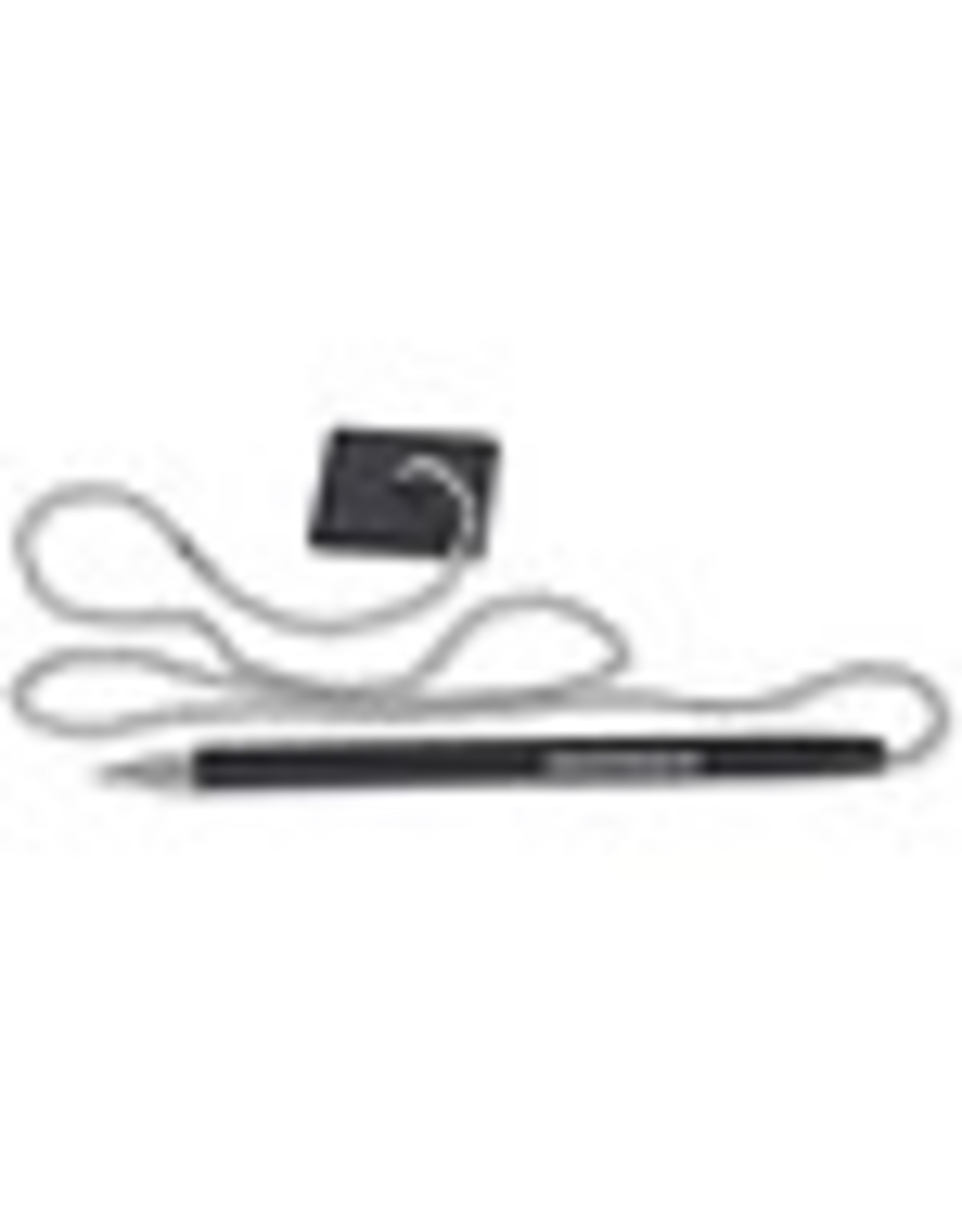 SECURITY PEN 24'' CHAIN