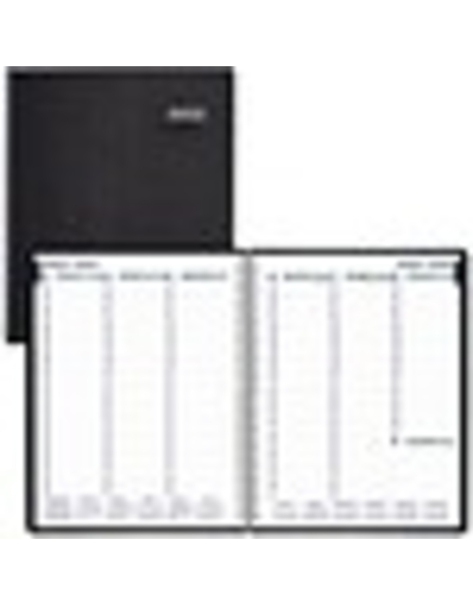PLAN WKLY D/FLX T/W BIL *2022