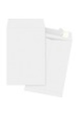 ENV,TYVEK,PLN,6X9