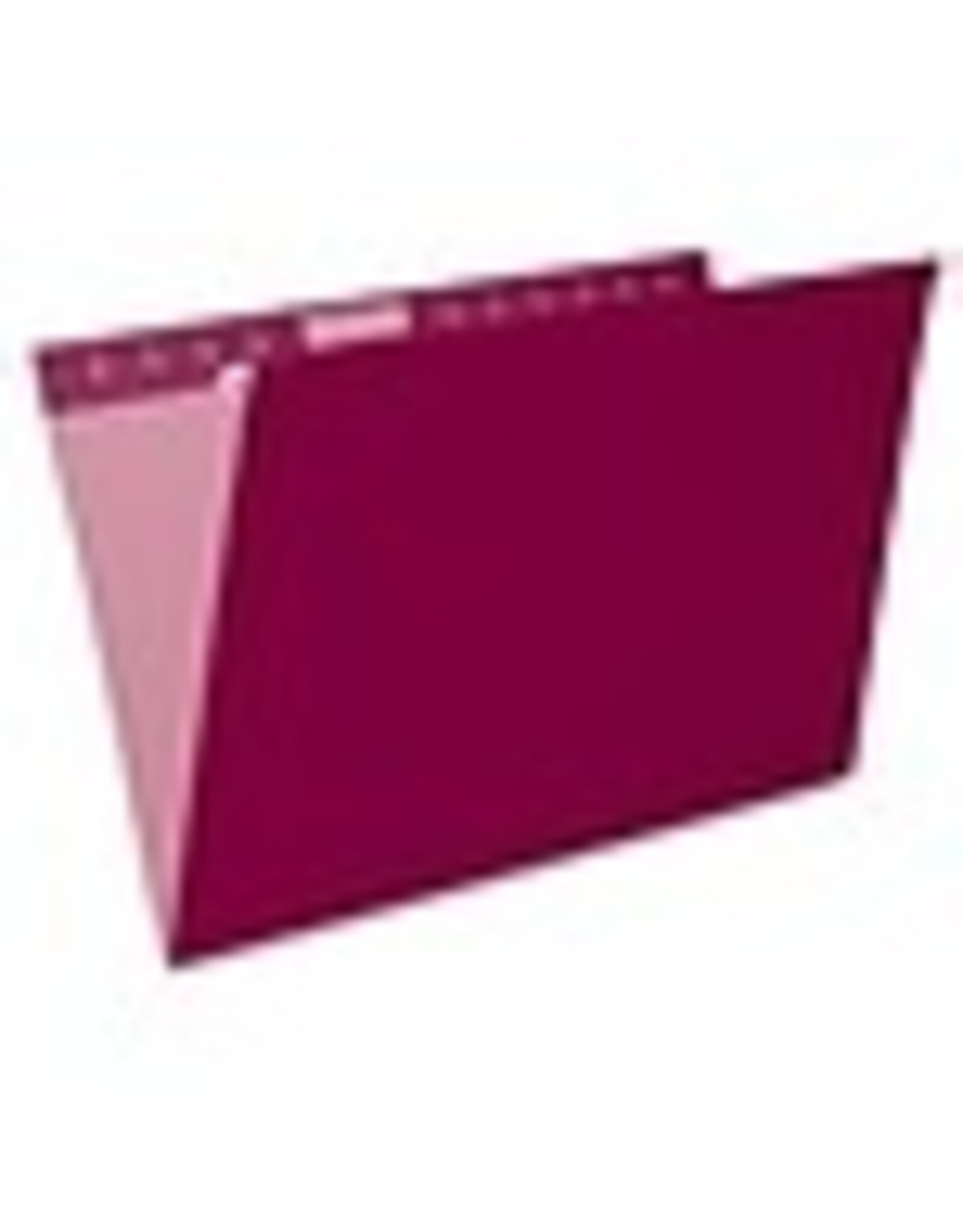 HANG FILE-PRO LGL*BRGDY *25/BX