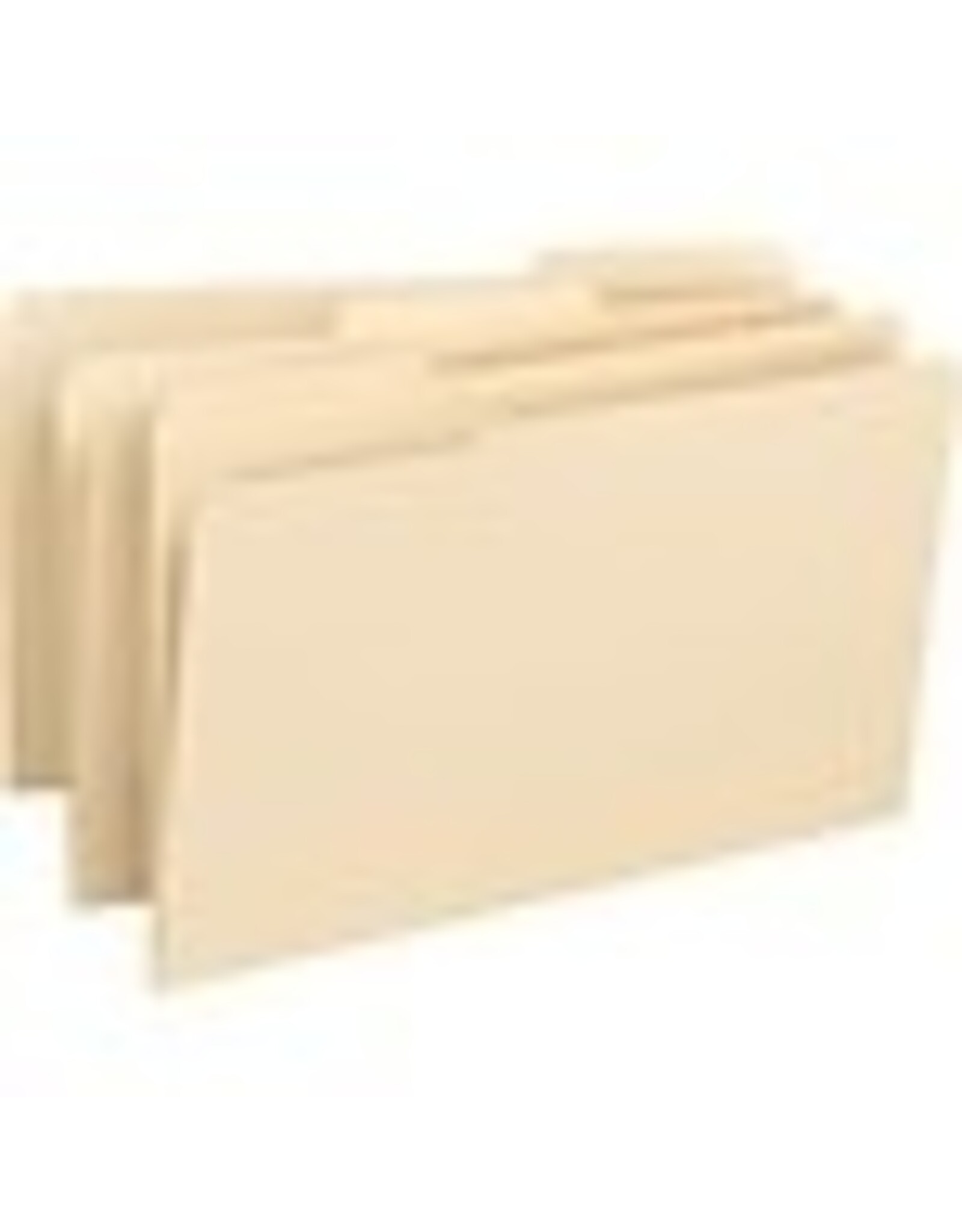 FOLDER,LGL,14PT,1/3 MLA