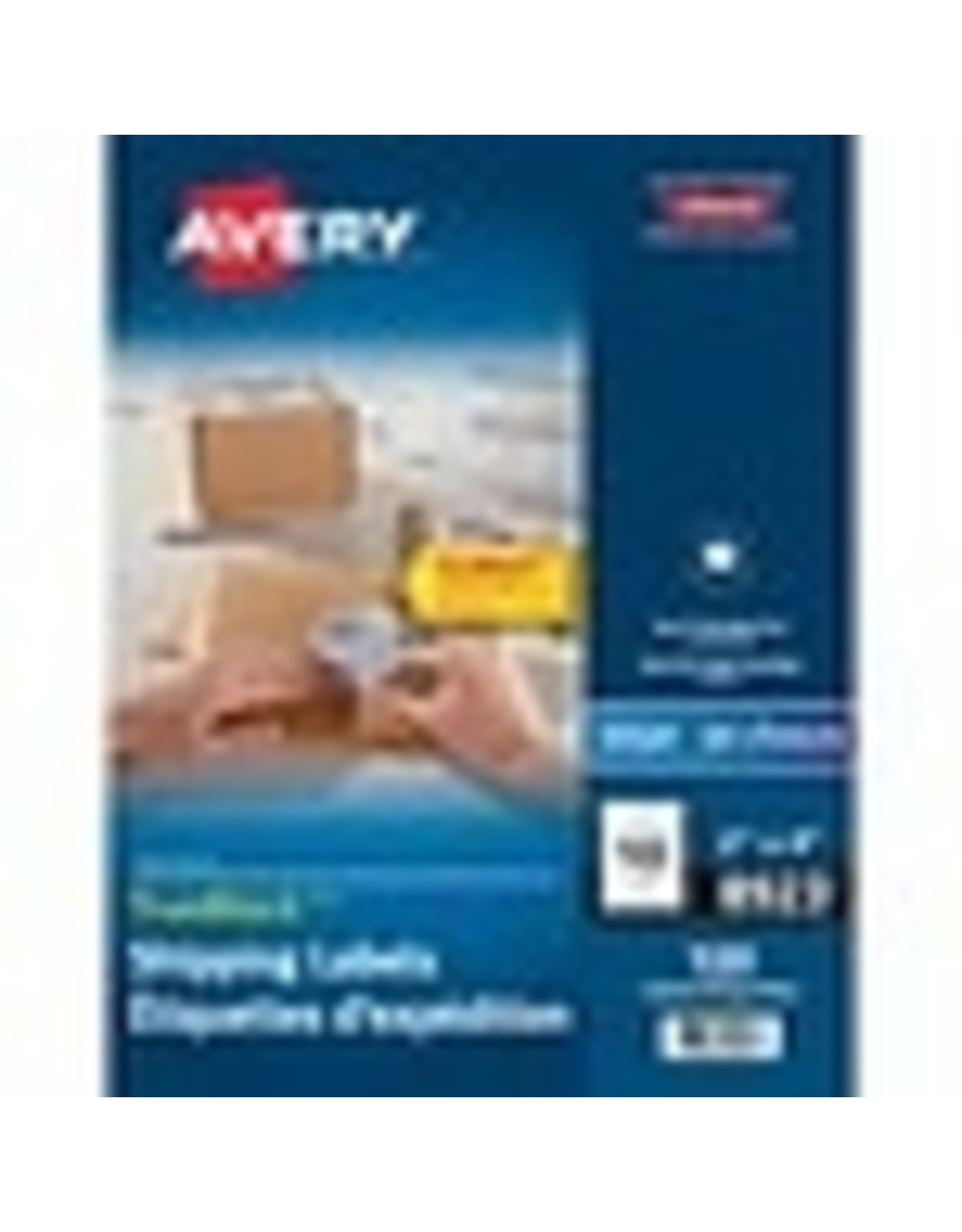 INKJET ADD.LABEL 4x2   *100/PK