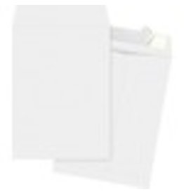 ENVELOPE,TYVEK,PLN,10X15