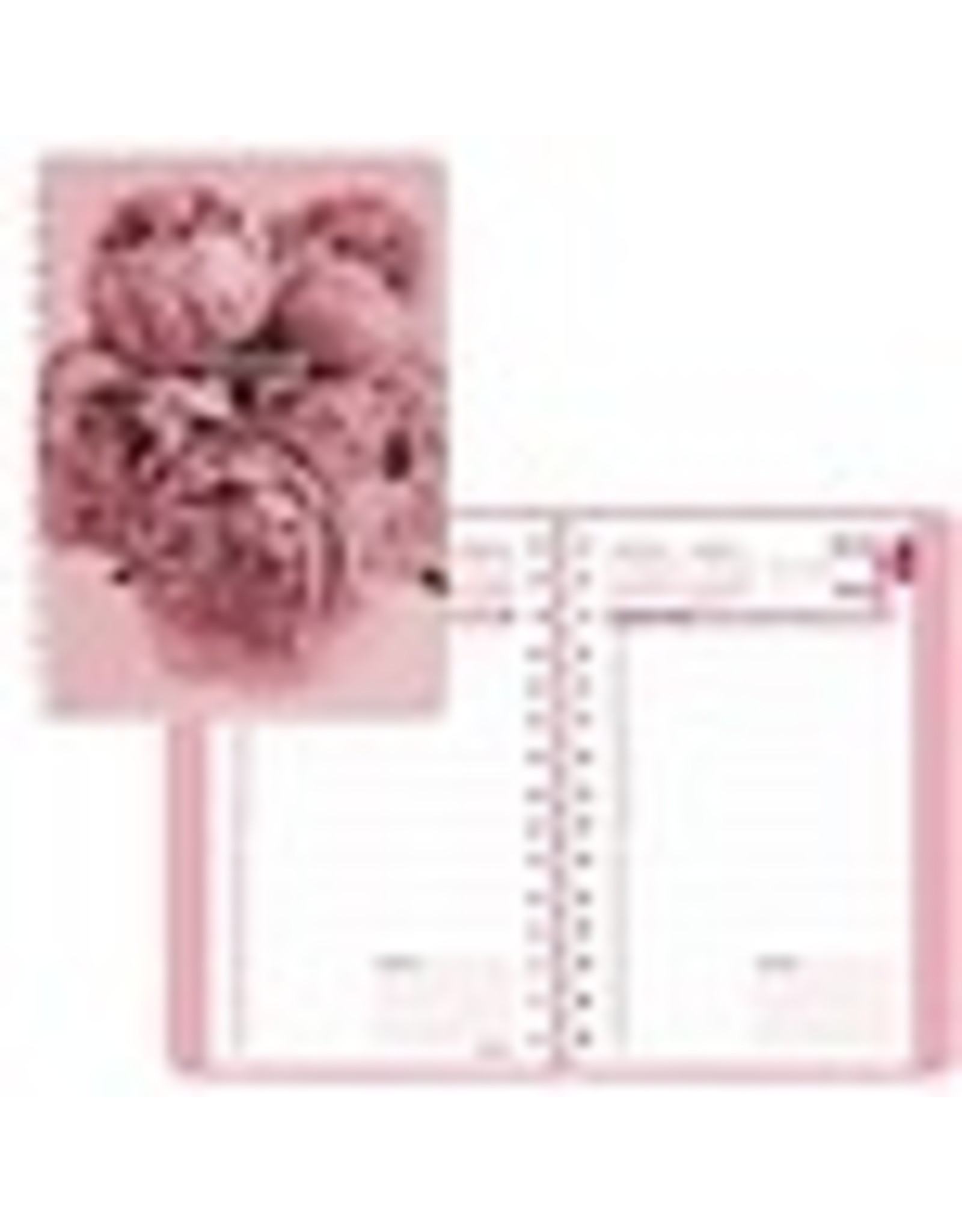 PLANNER DAILY BILING PINK*2022