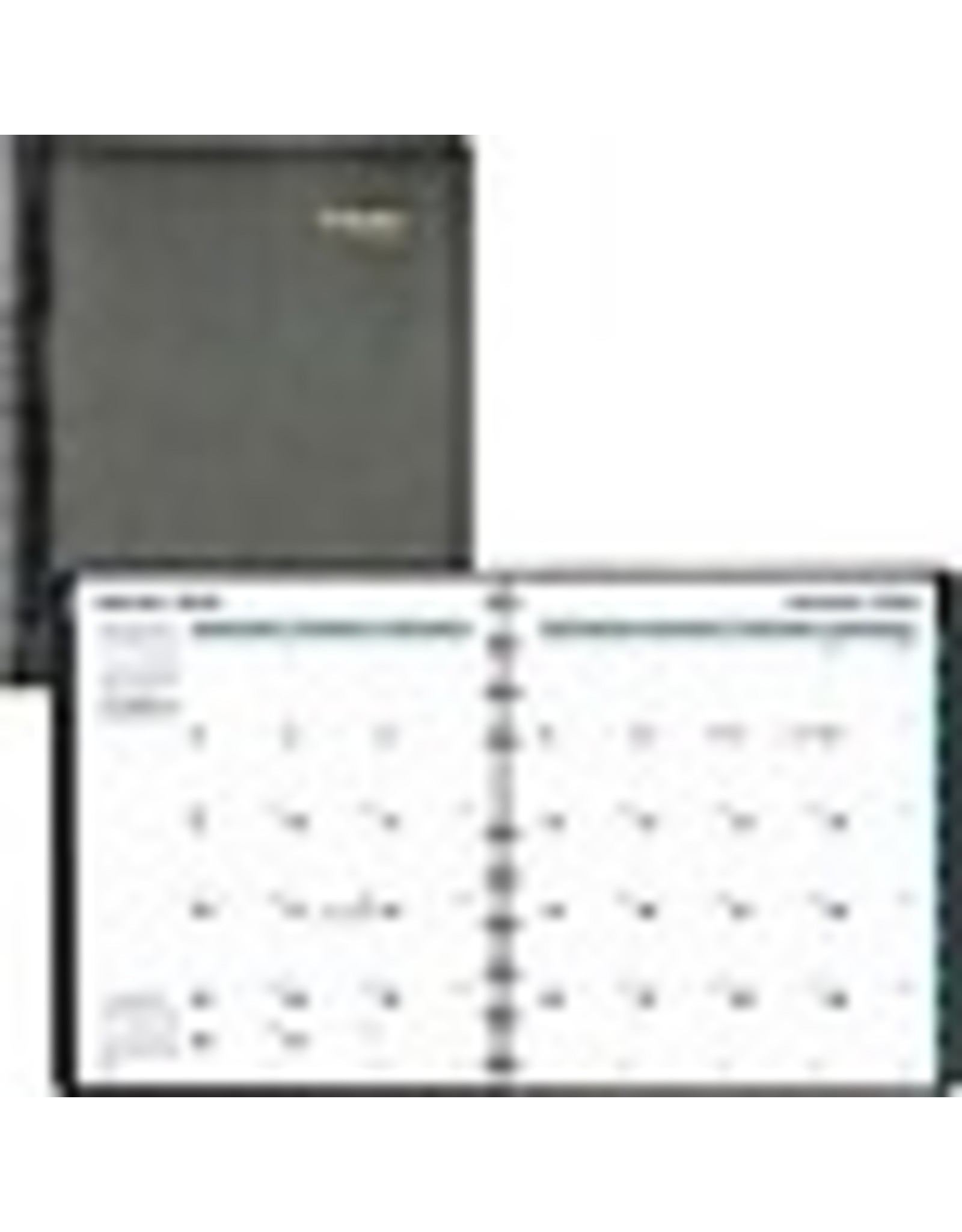 DIARY MNTH 11X8.5 MIRC SC*2022