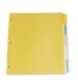 INDEX INSERT, POLY LTR AST*5TB