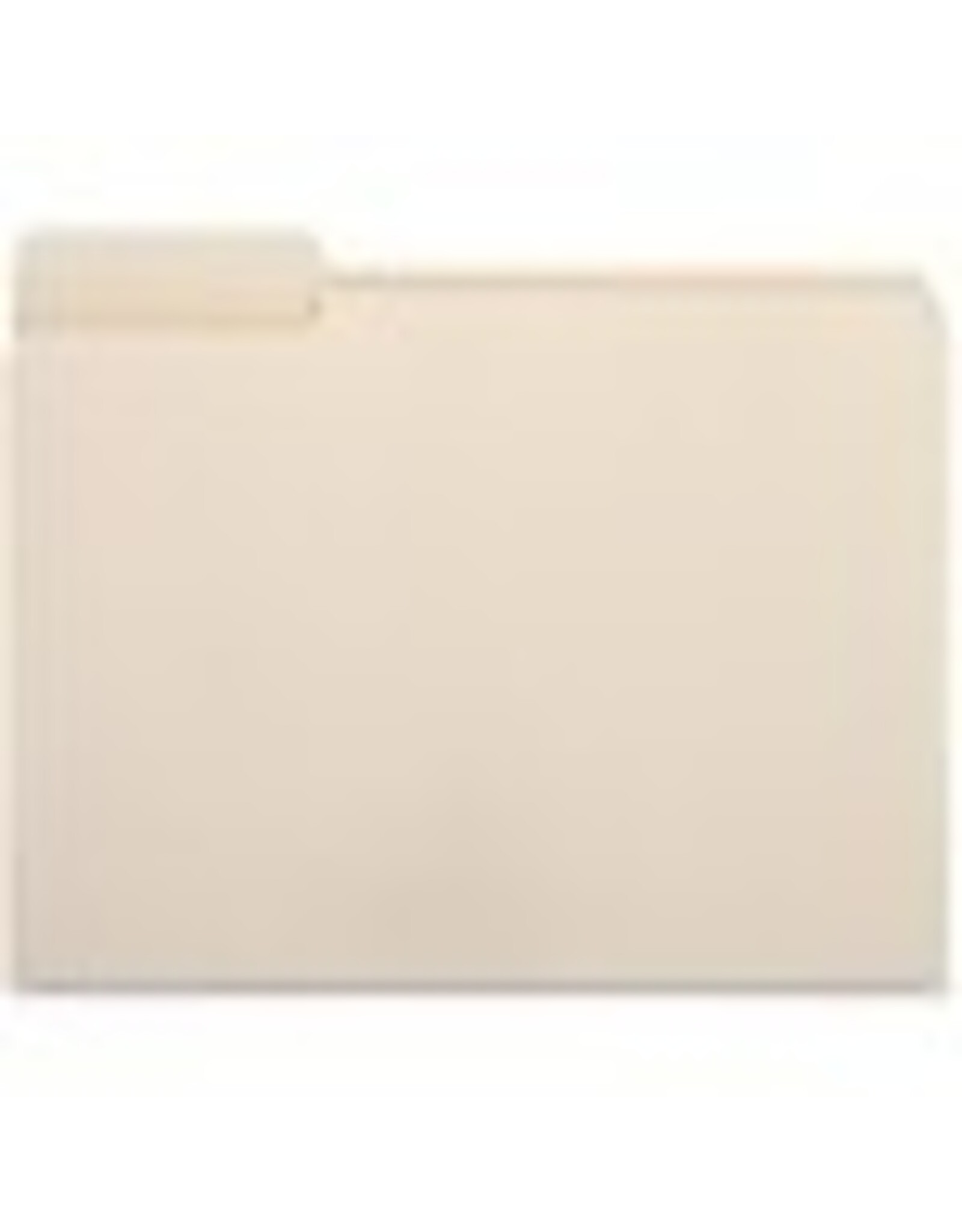 FLDR FILE LTR 1/3-1 MLA