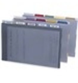PROJ ORGNZR, LGL POLY 5TB*ICE