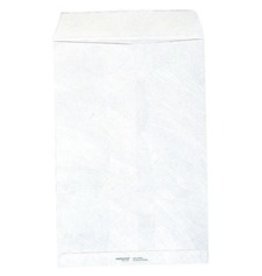 ENV #8 OE 10X13,WHITE,500/BX