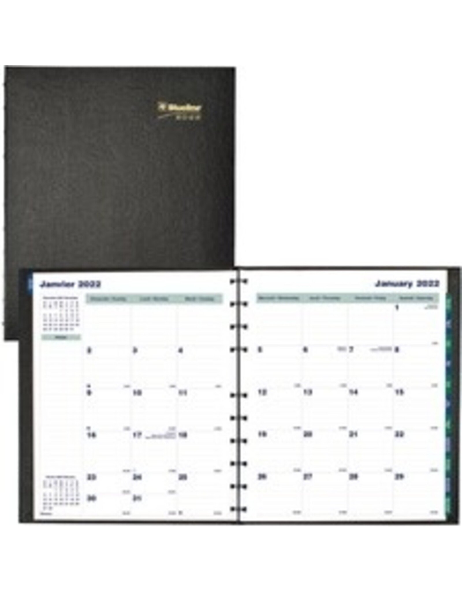 DIARY MNTH C-PRO 11X9 BIL*2022