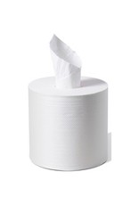 TOWEL CENTRE-PULL NATRL*#01322