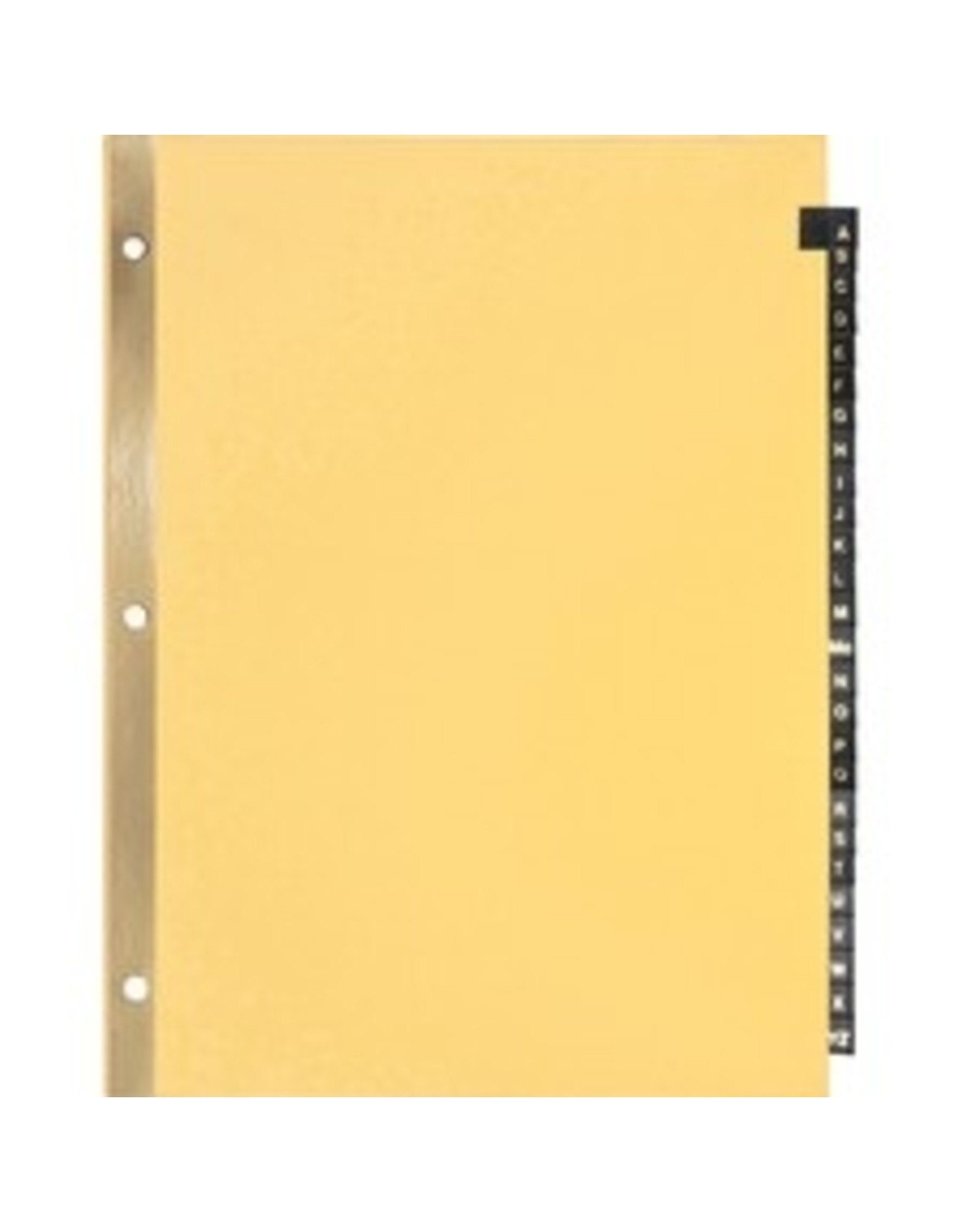 INDEX, BK LTHR TAB LTR  *A-Z