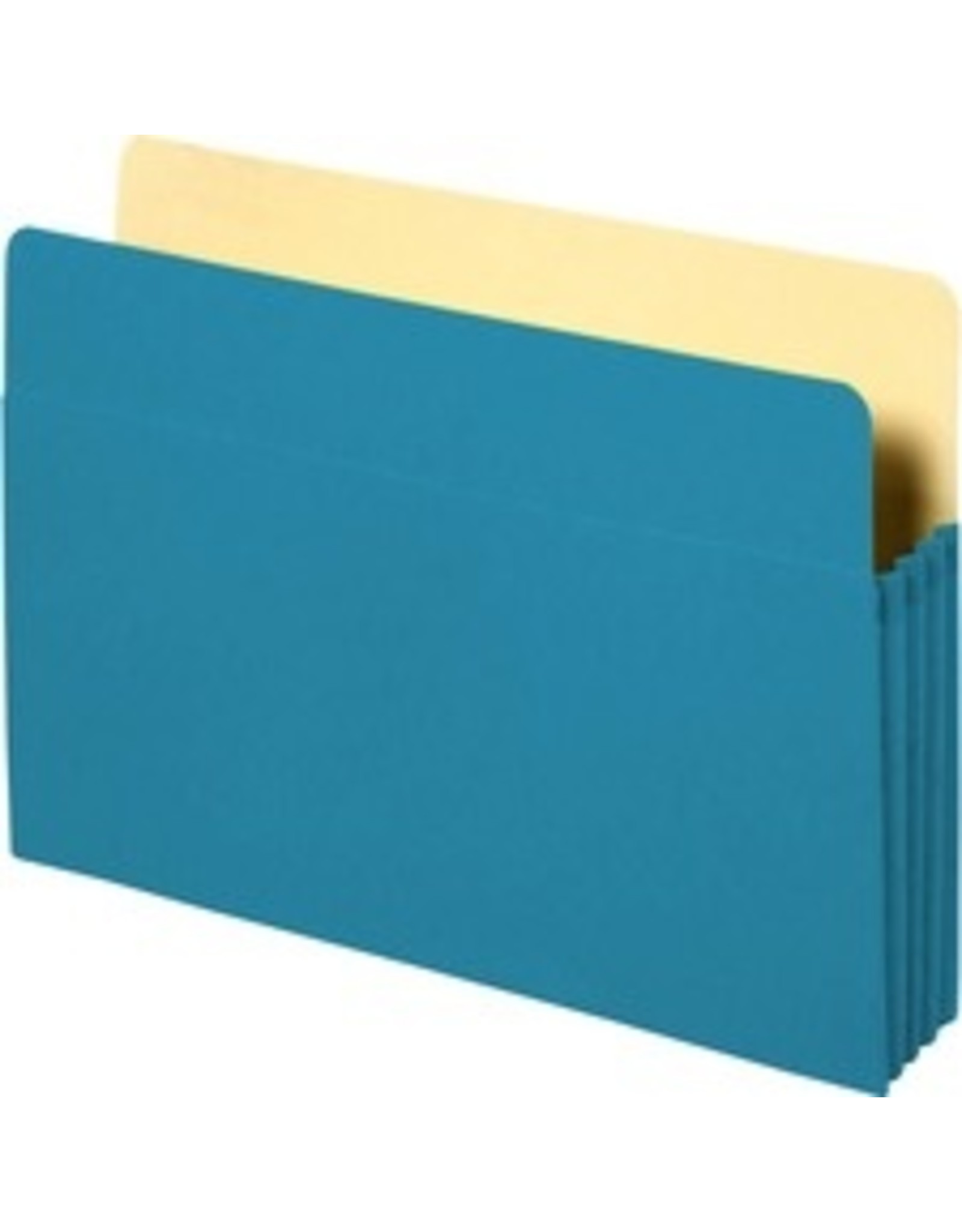 FILE POCKET LTR 3.5'' EXP*BLUE
