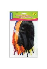 FEATHER ASSORTED COLOURS,20/PK