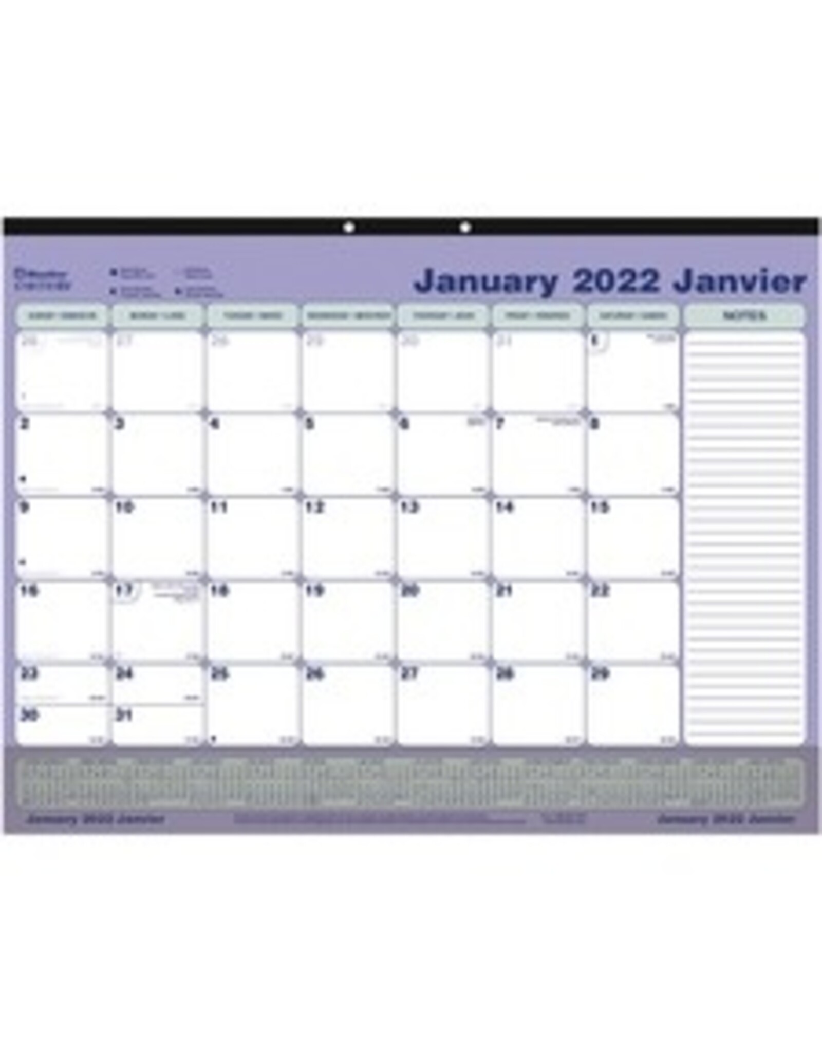 DESKPAD MNTH TRANS STRIP*2022
